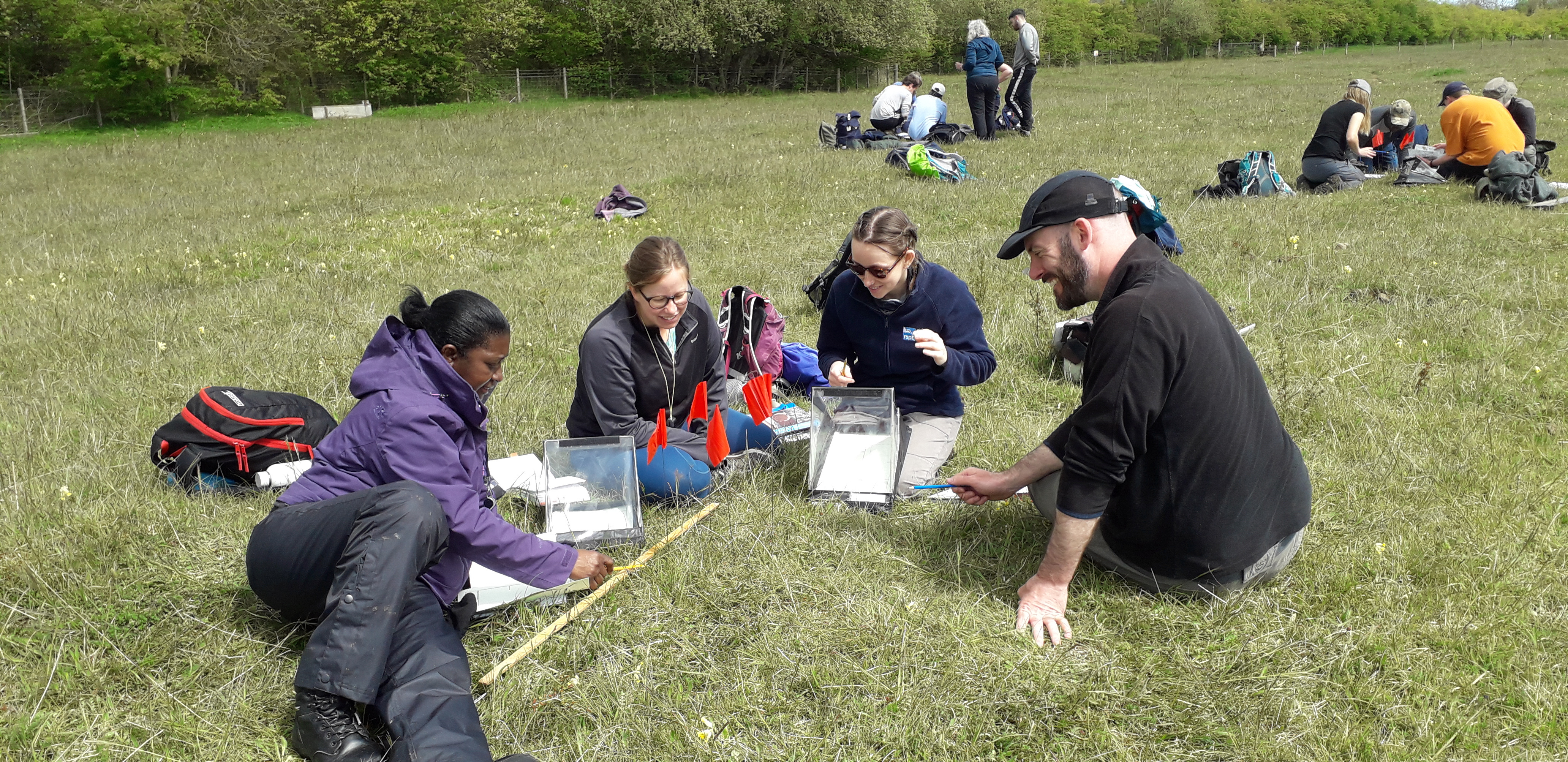 Students and Lecturer in a field studying the grass